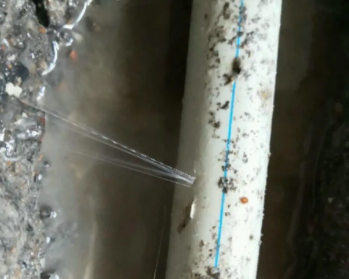 东湖卫生间测漏水多少钱