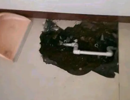 东湖卫生间测漏水多少钱
